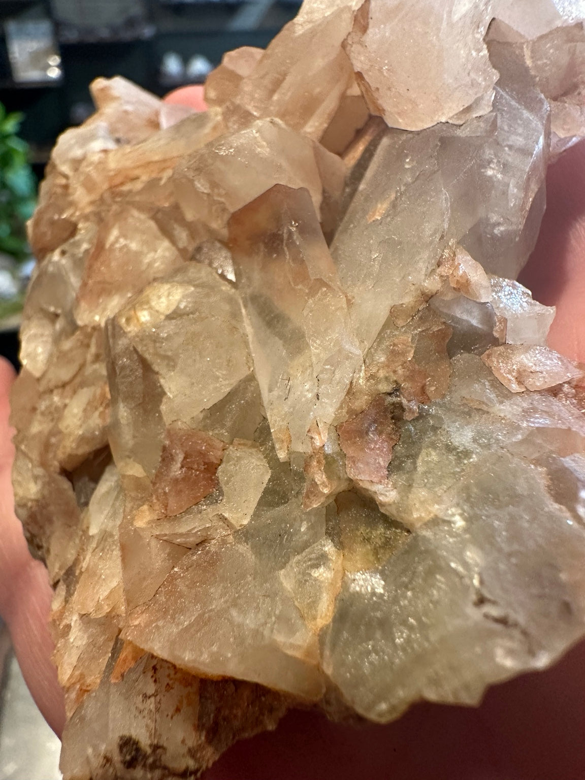 Front angled view of complex champagne and gray-green translucent crystal cluster from Mexico