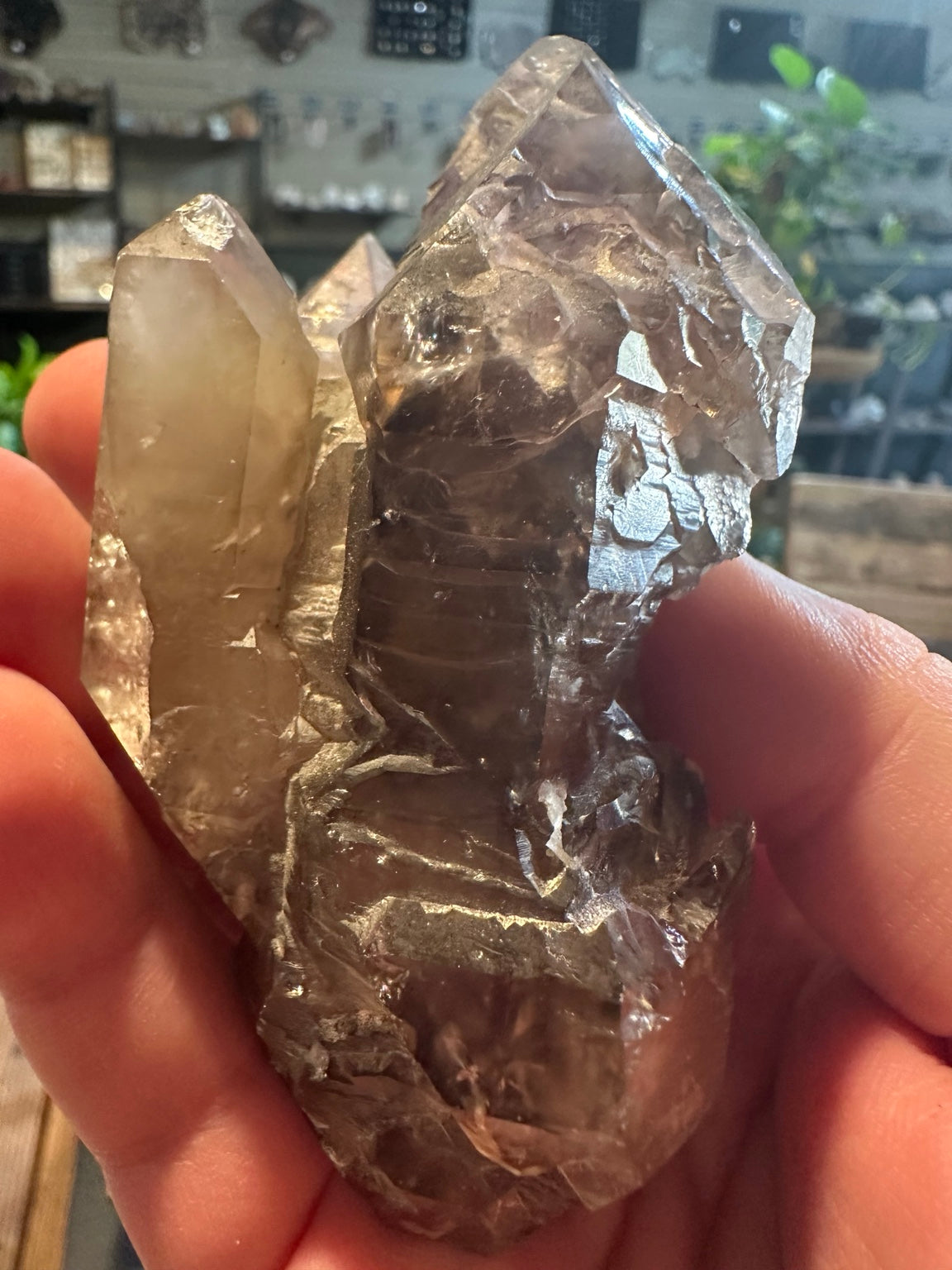 9 oz smoky amethyst and clear quartz terminated cluster front view