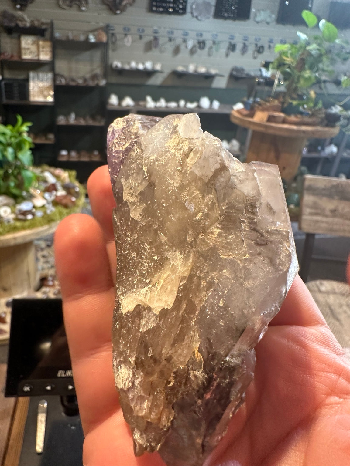 Reverse view of smoky-purple quartz crystal, natural surfaces and complex growth