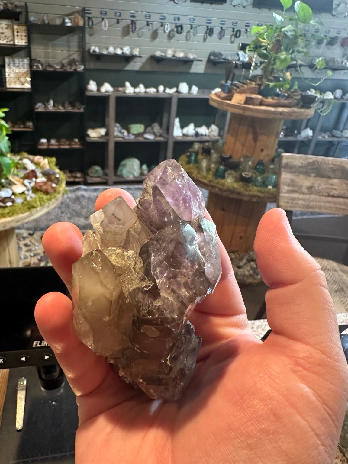 Backlit purple quartz color zone in amethyst tip of cluster