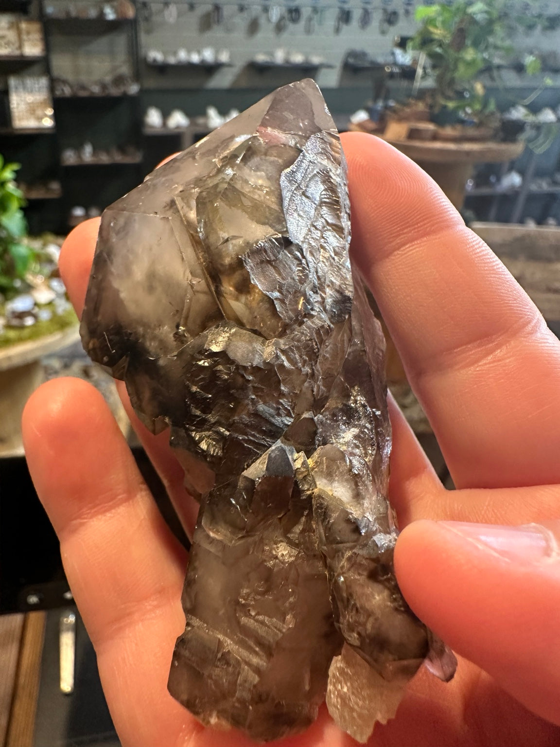 Close front view of dark smoky quartz elestial skeletal growth and sharp natural crystal faces