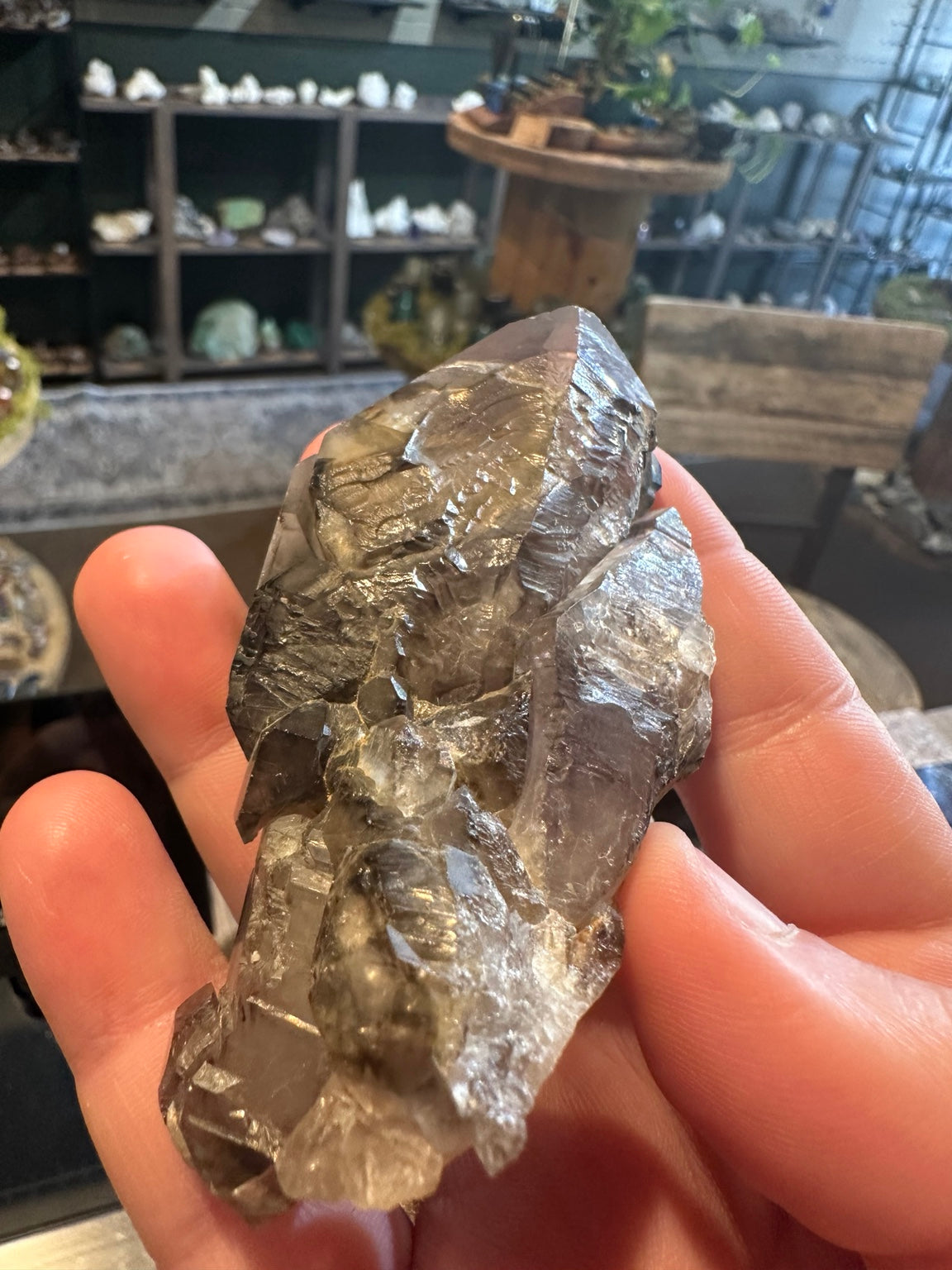 5 oz Brazilian skeletal smoky quartz specimen with multiple terminated points, front view in hand