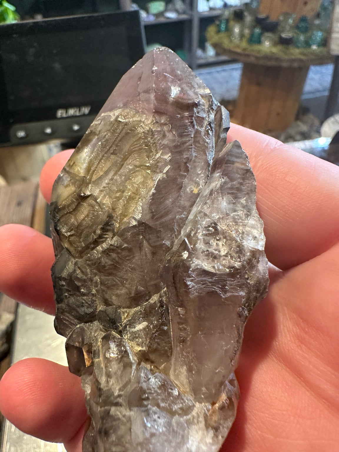 Full reverse view of Brazilian smoky quartz cluster and intergrown points