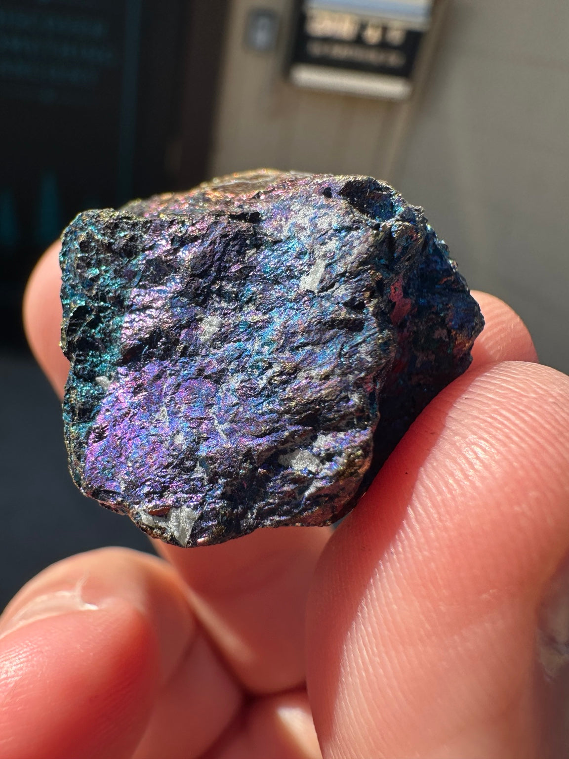 Peacock ore Mexico approximately 1 oz purple blue gold specimen