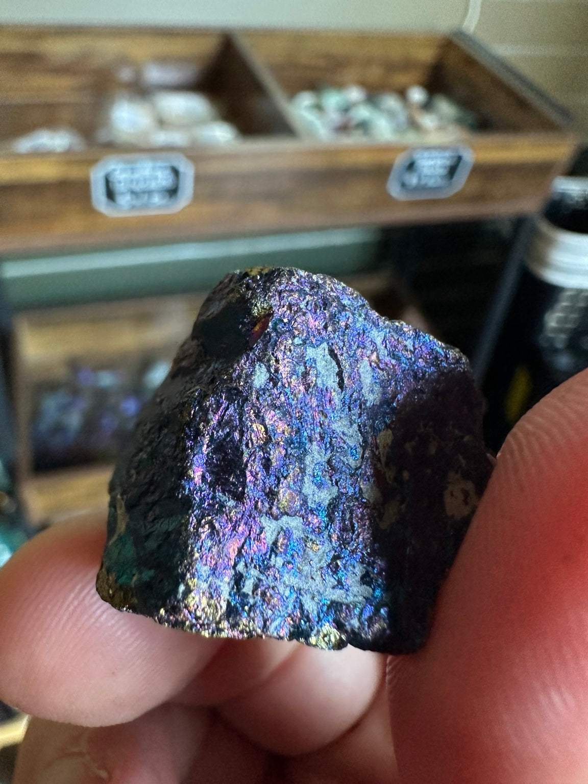 Peacock ore bornite Mexico approximately 1 oz violet blue metallic specimen