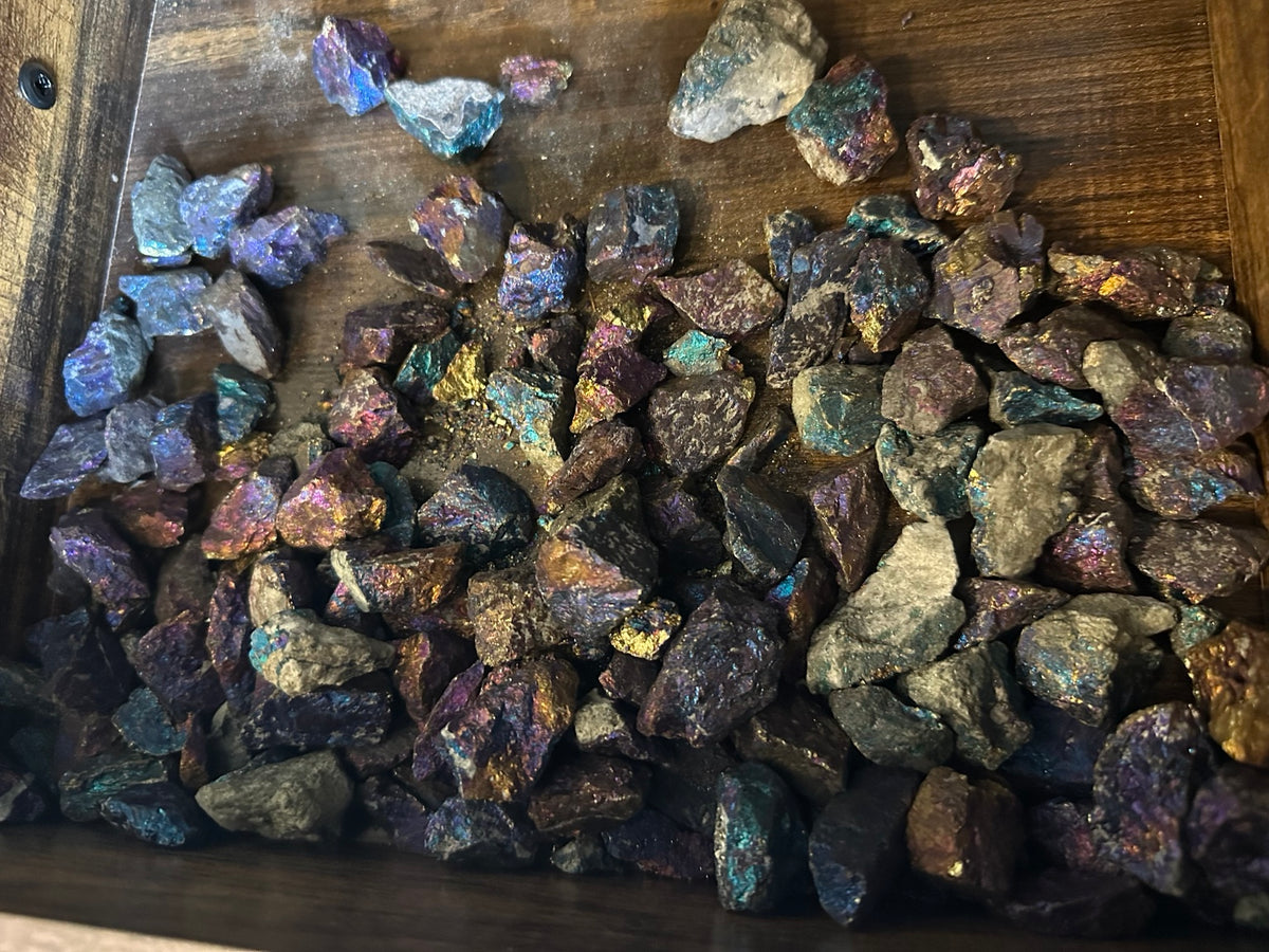 Bulk lot of peacock ore bornite Mexico representative inventory