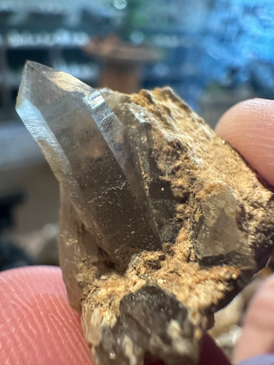 Madera County smoky quartz crystal cluster on matrix