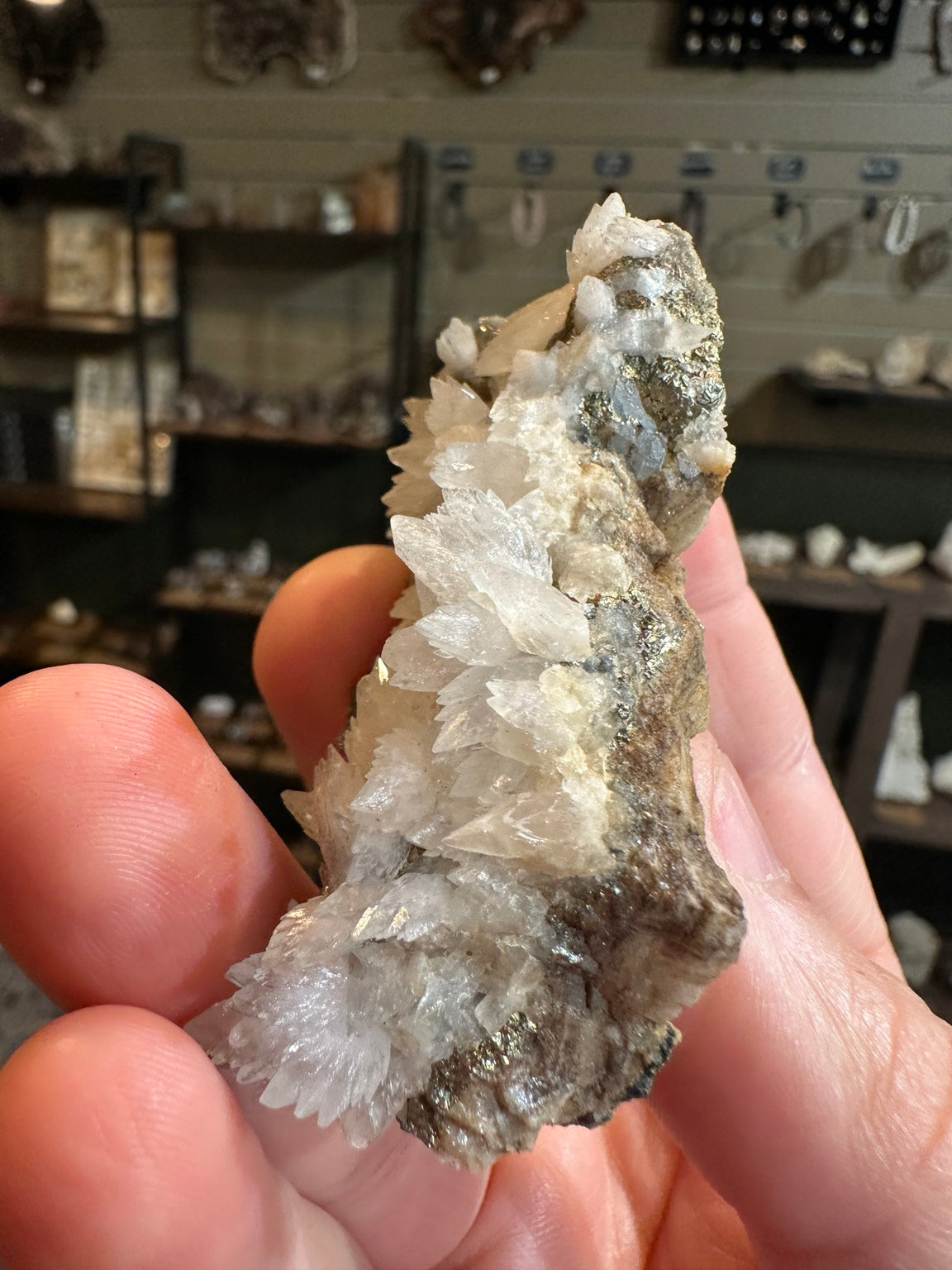Bladed calcite with pyrite crystal cluster from Nevada