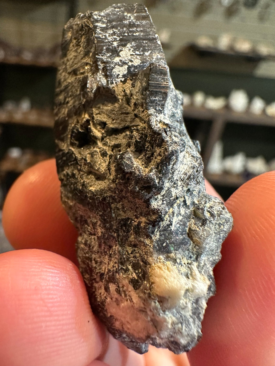 Schorl black tourmaline crystal cluster on matrix