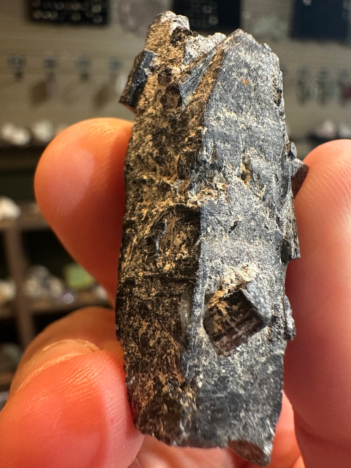 Schorl black tourmaline crystal cluster on matrix