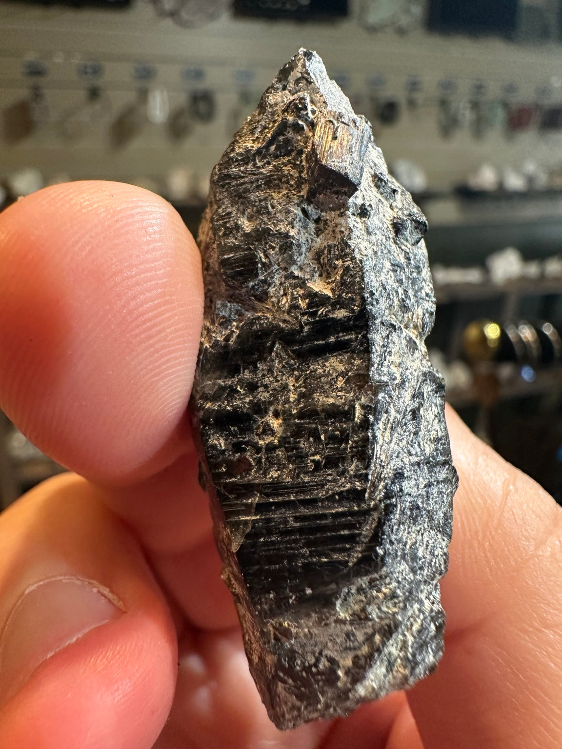 Schorl black tourmaline crystal cluster on matrix