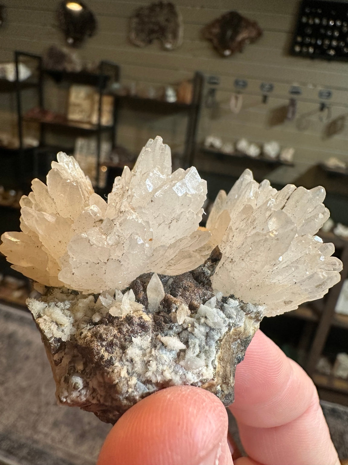 Nevada dogtooth calcite with pyrite 4.5 oz photograph 9