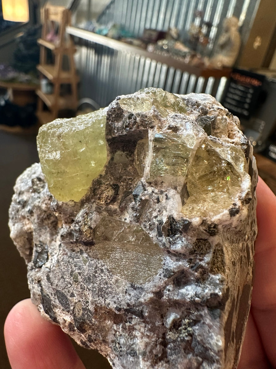 Nevada 11.1 oz yellow-green apatite crystals on matrix, original specimen photo 1