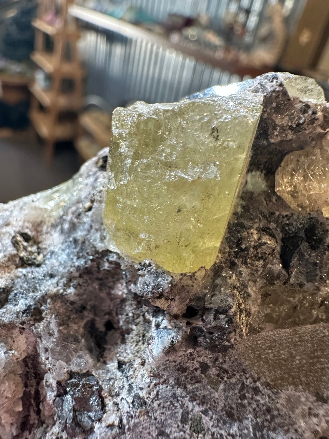 Nevada 11.1 oz yellow-green apatite crystals on matrix, original specimen photo 2