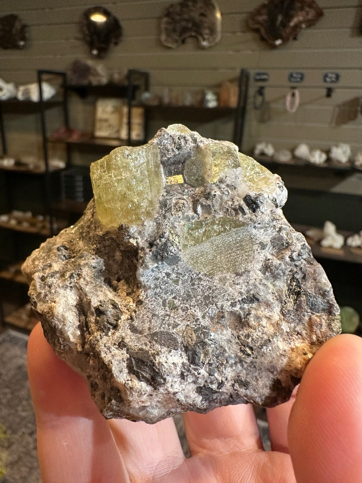 Nevada 11.1 oz yellow-green apatite crystals on matrix, original specimen photo 8