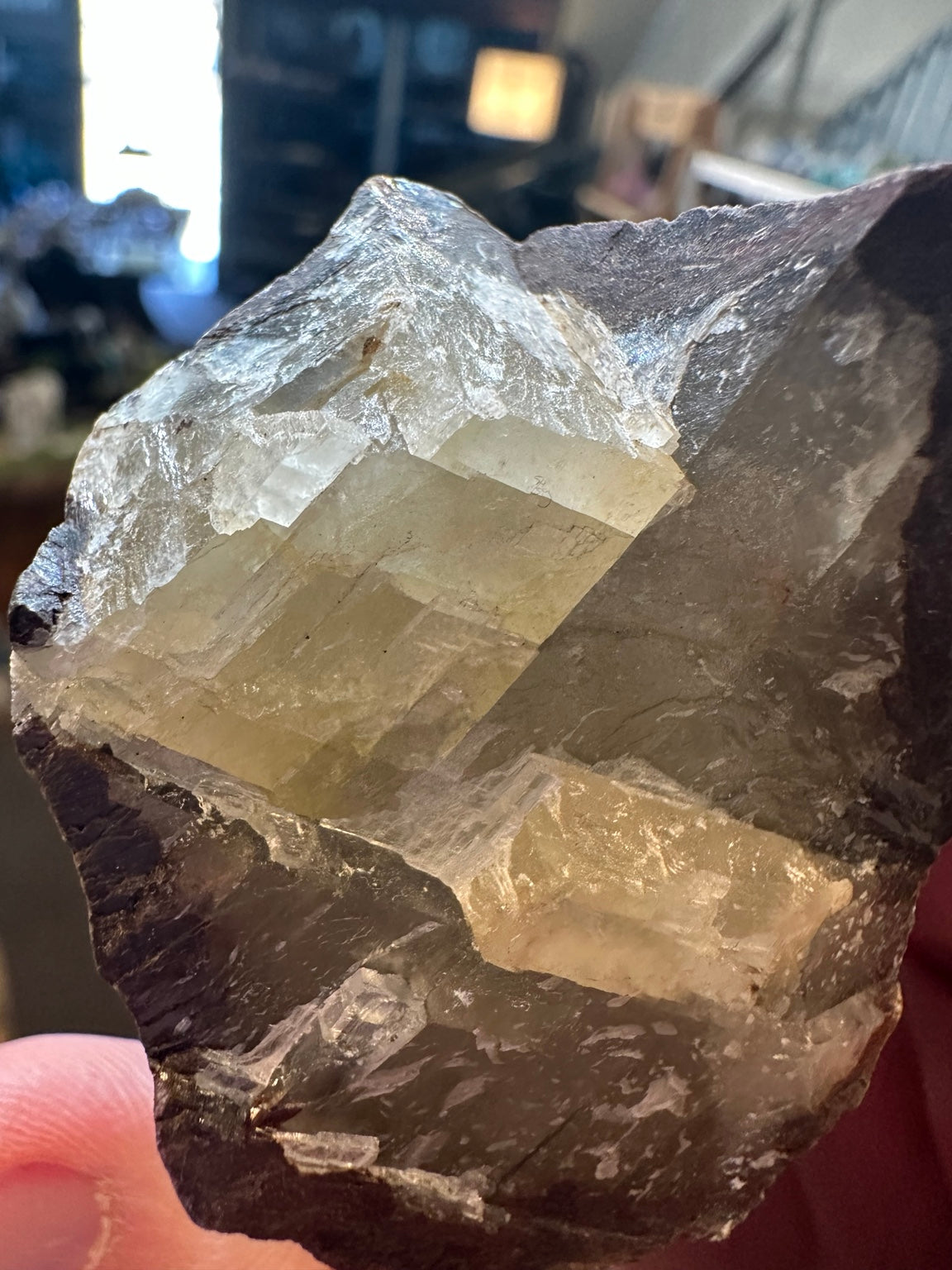 13.3 oz translucent honey-gray crystal in brown matrix, actual specimen view 5