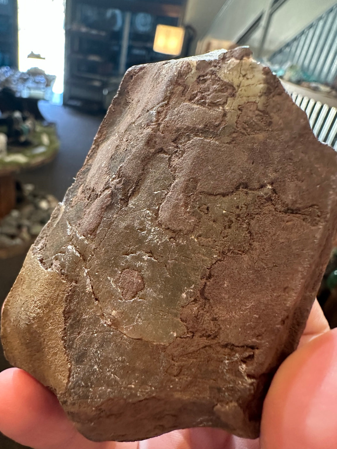 13.3 oz translucent honey-gray crystal in brown matrix, actual specimen view 6