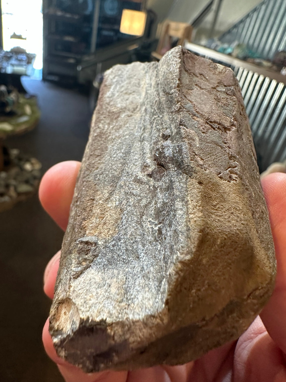 13.3 oz translucent honey-gray crystal in brown matrix, actual specimen view 4