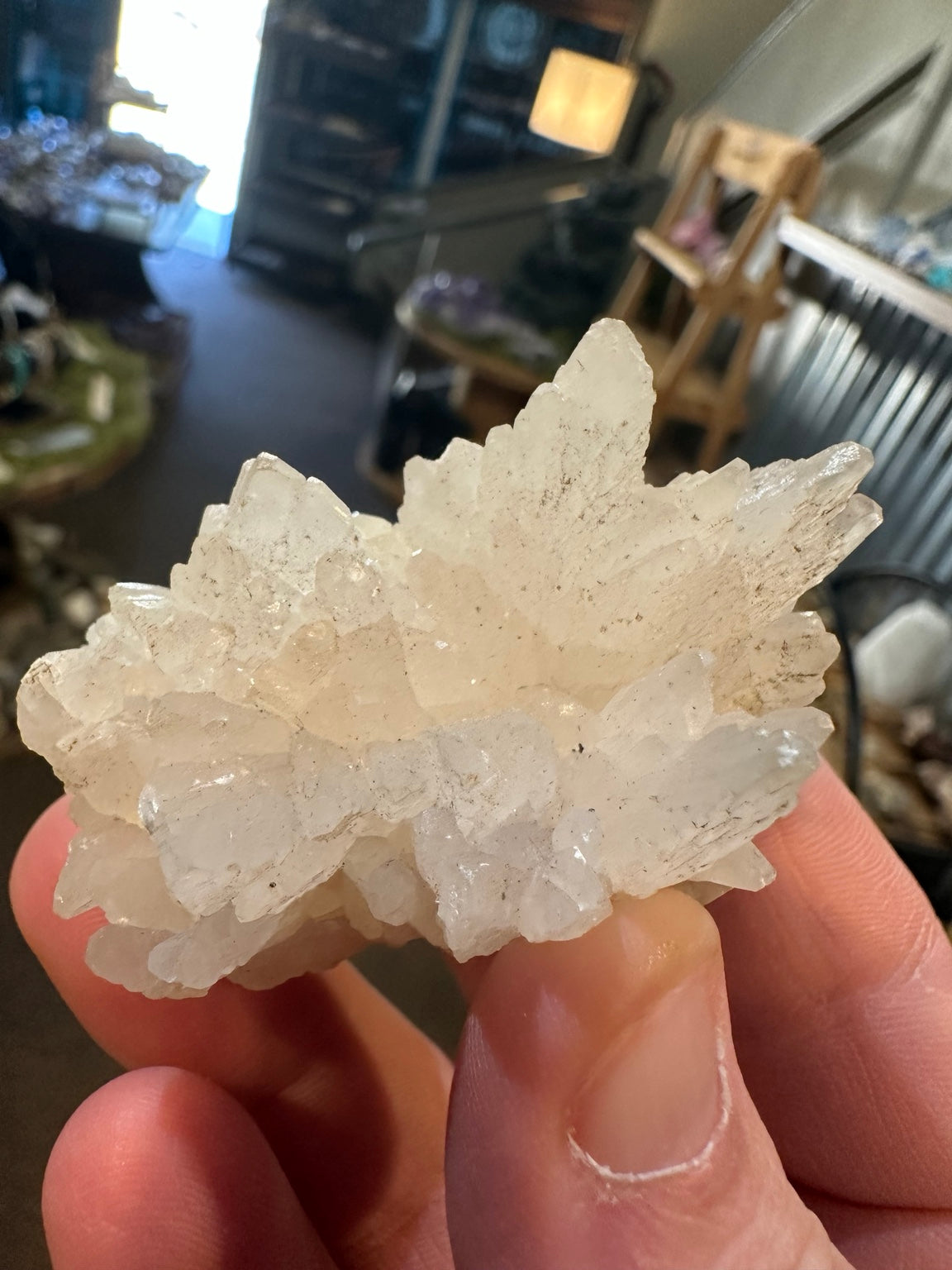 Nevada dogtooth calcite radiating white crystal flower cluster, actual view 1