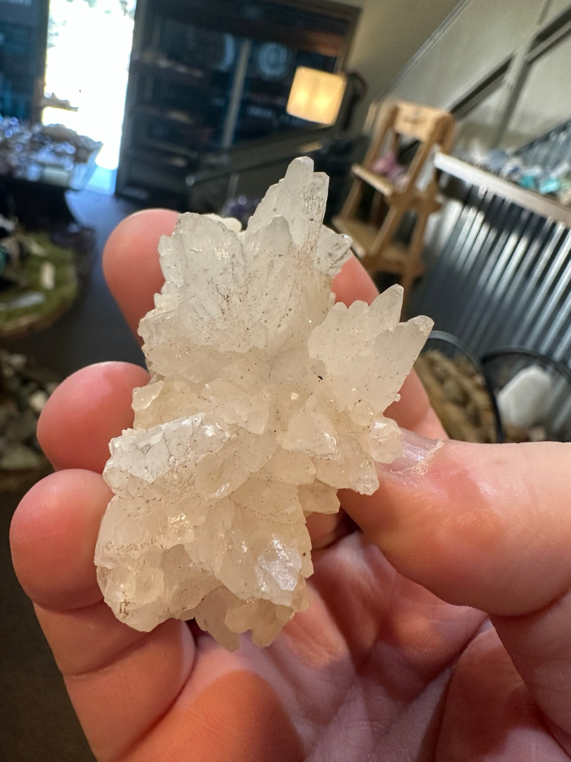 Nevada dogtooth calcite radiating white crystal flower cluster, actual view 5