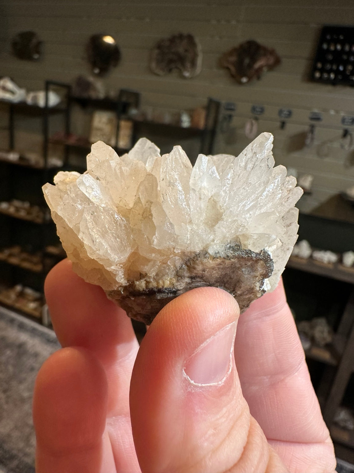 Nevada dogtooth calcite radiating white crystal flower cluster, actual view 6