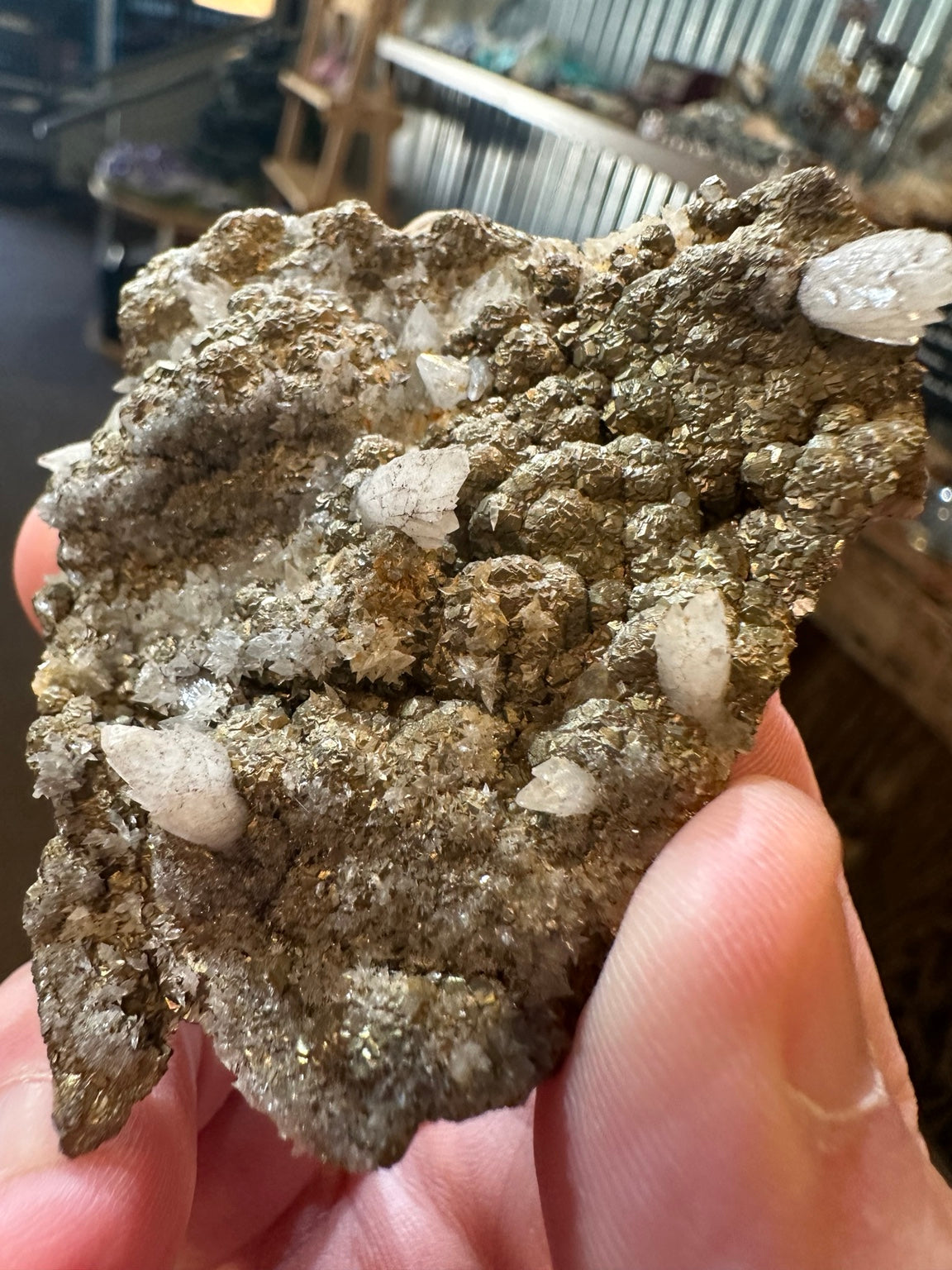 Nevada botryoidal pyrite and white crystal association, collector specimen, view 1