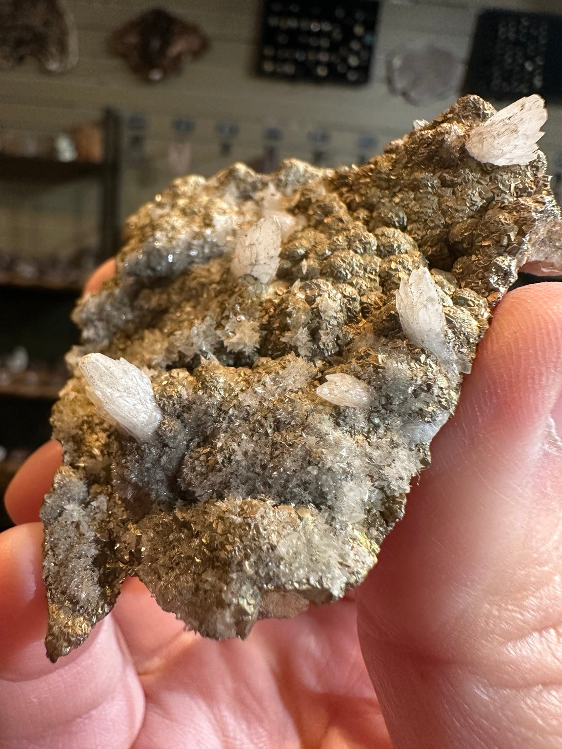 Nevada botryoidal pyrite and white crystal association, collector specimen, view 6