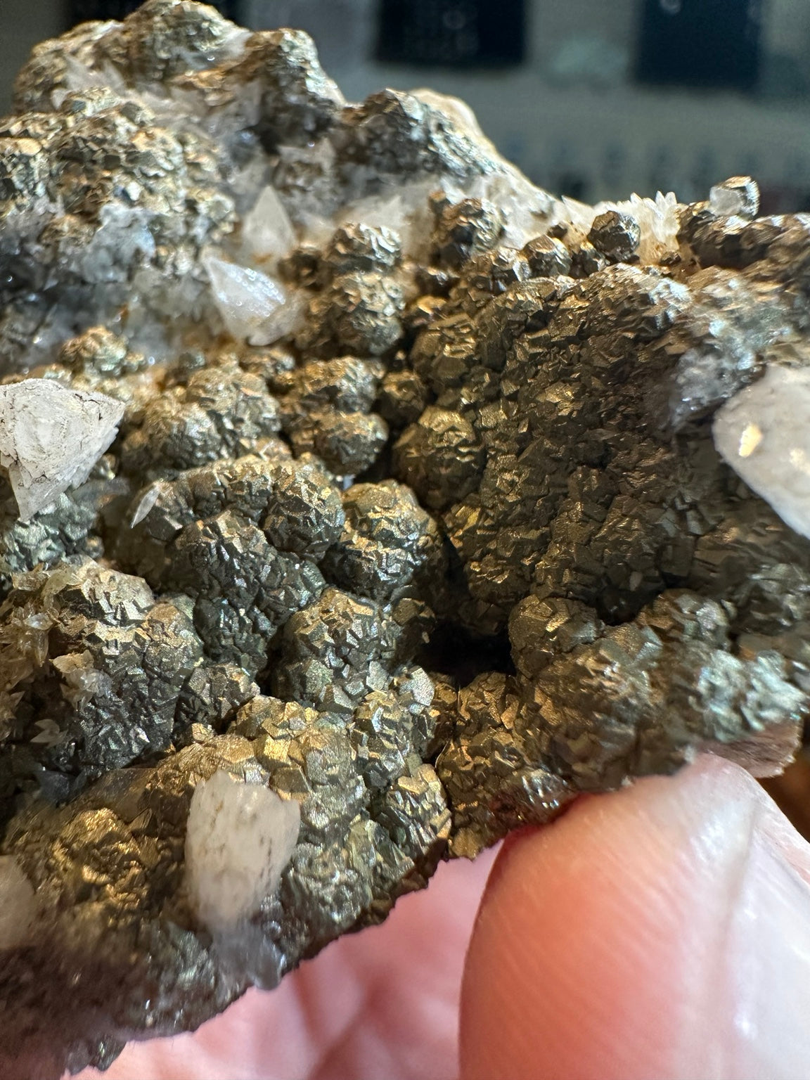 Nevada botryoidal pyrite and white crystal association, collector specimen, view 8