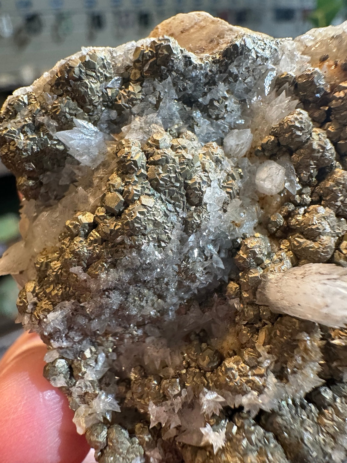 Nevada botryoidal pyrite and white crystal association, collector specimen, view 10