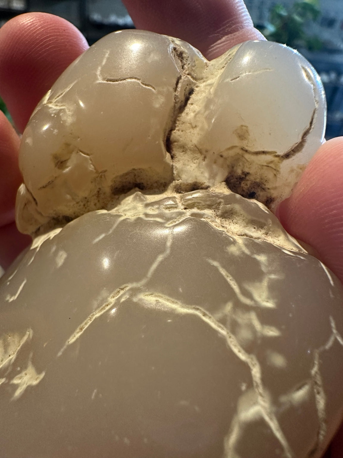 Nevada polished botryoidal chalcedony 2.3 ounces, natural specimen view 6