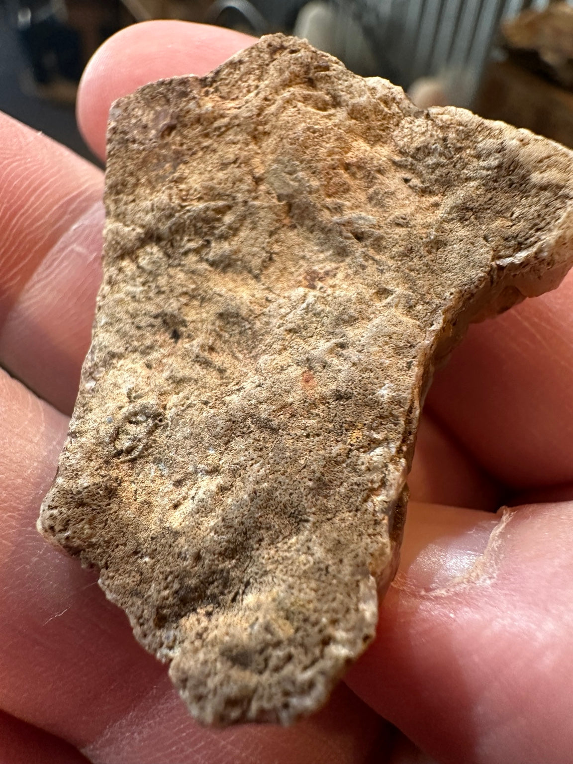 Botryoidal chalcedony with druzy quartz from Lavic area, California; actual specimen angle 3