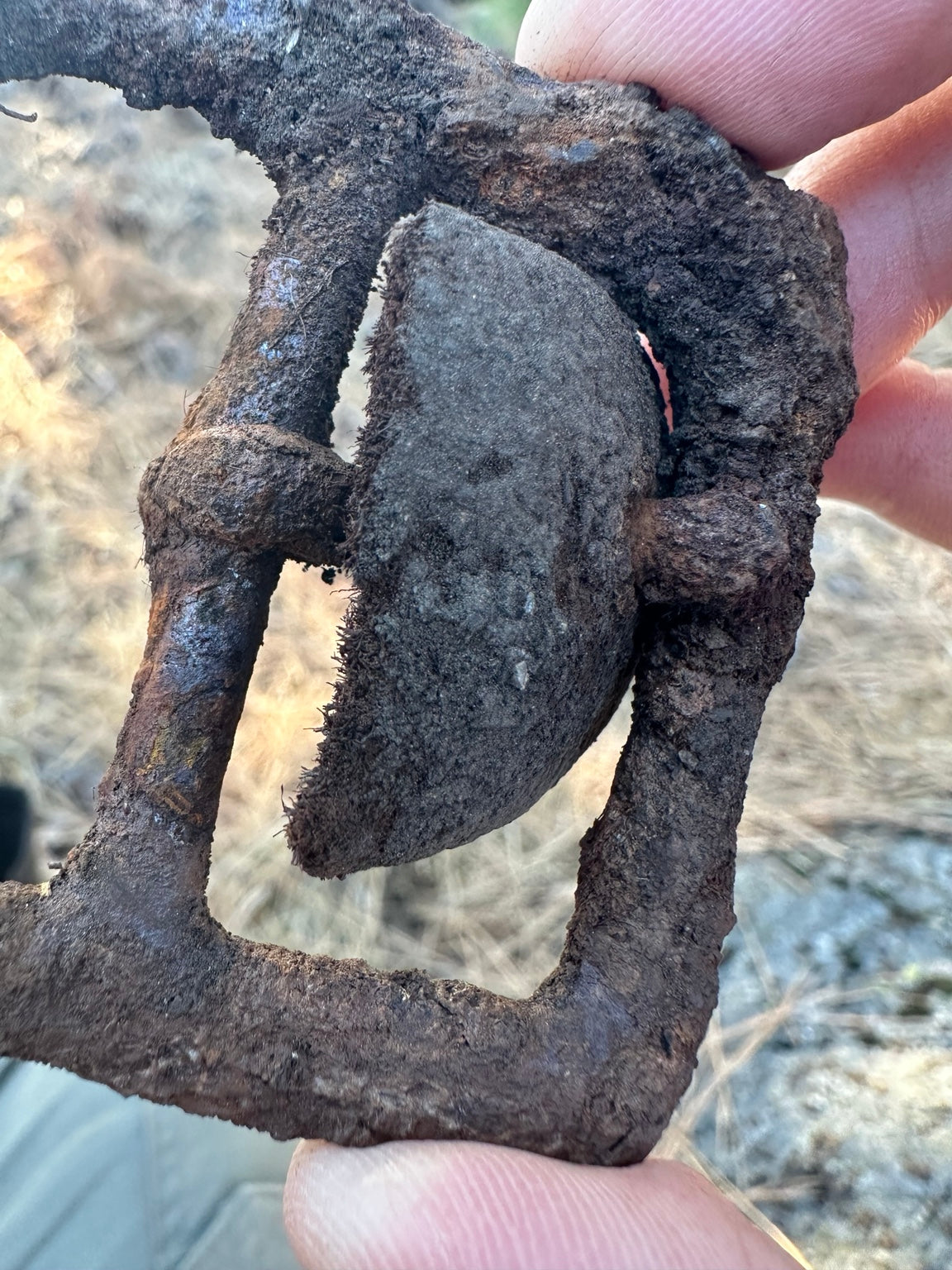 Bear Valley buckle side-angle macro showing curved tongue and frame