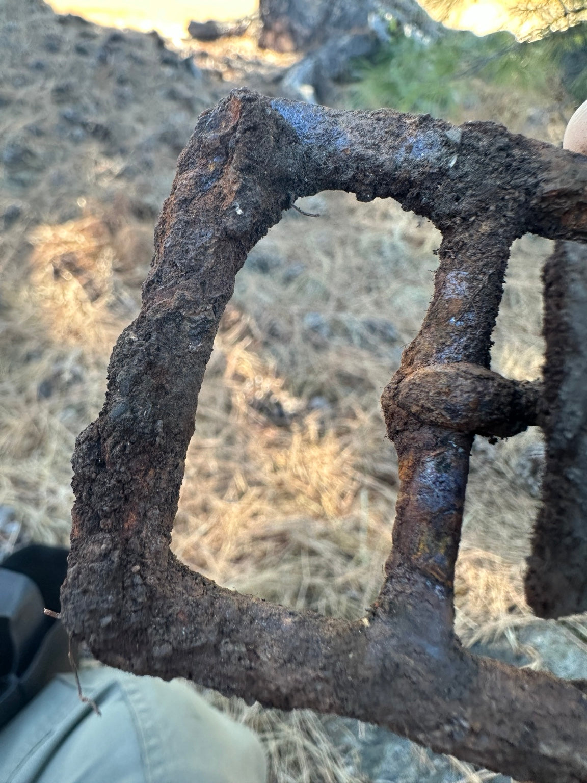 Close-up view of heavily corroded iron frame of possible historical harness fitting