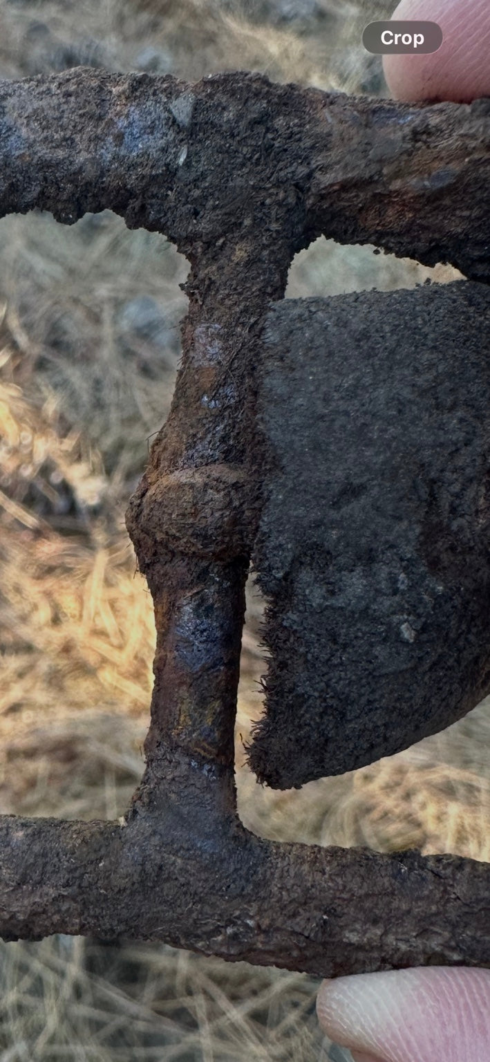 Macro detail of left-hand buckle connection and broad iron center plate