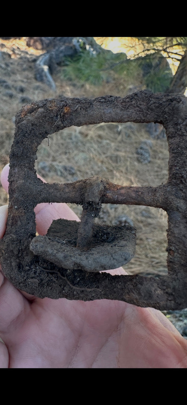 Historic iron harness buckle from Bear Valley, full front close-up showing curved paddle and crossbar