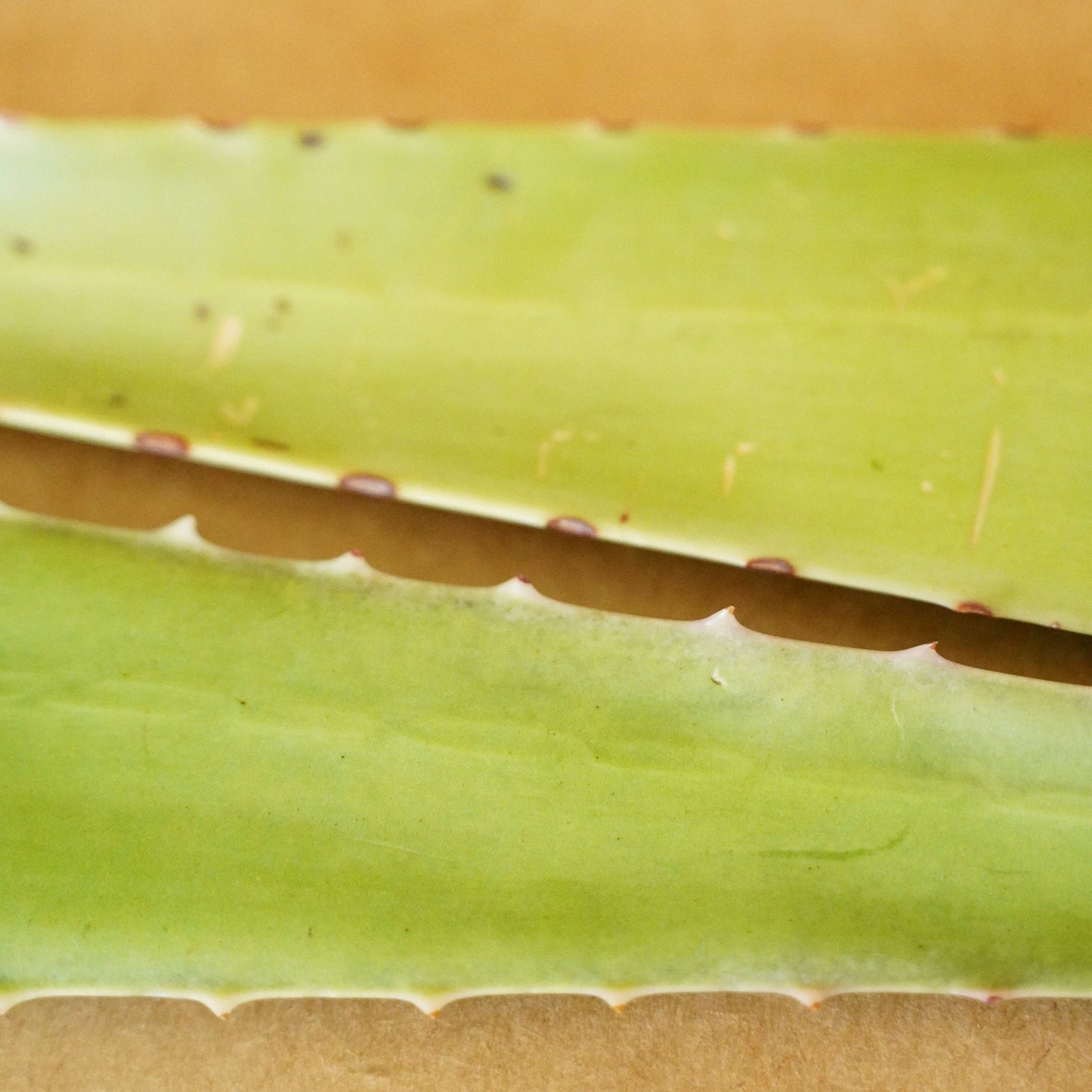 Fresh Aloe Detox Soap