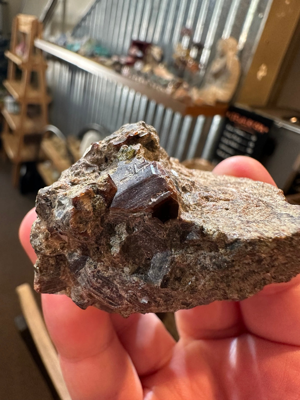Faceted almandine garnet crystals in matrix, 5 ounce specimen