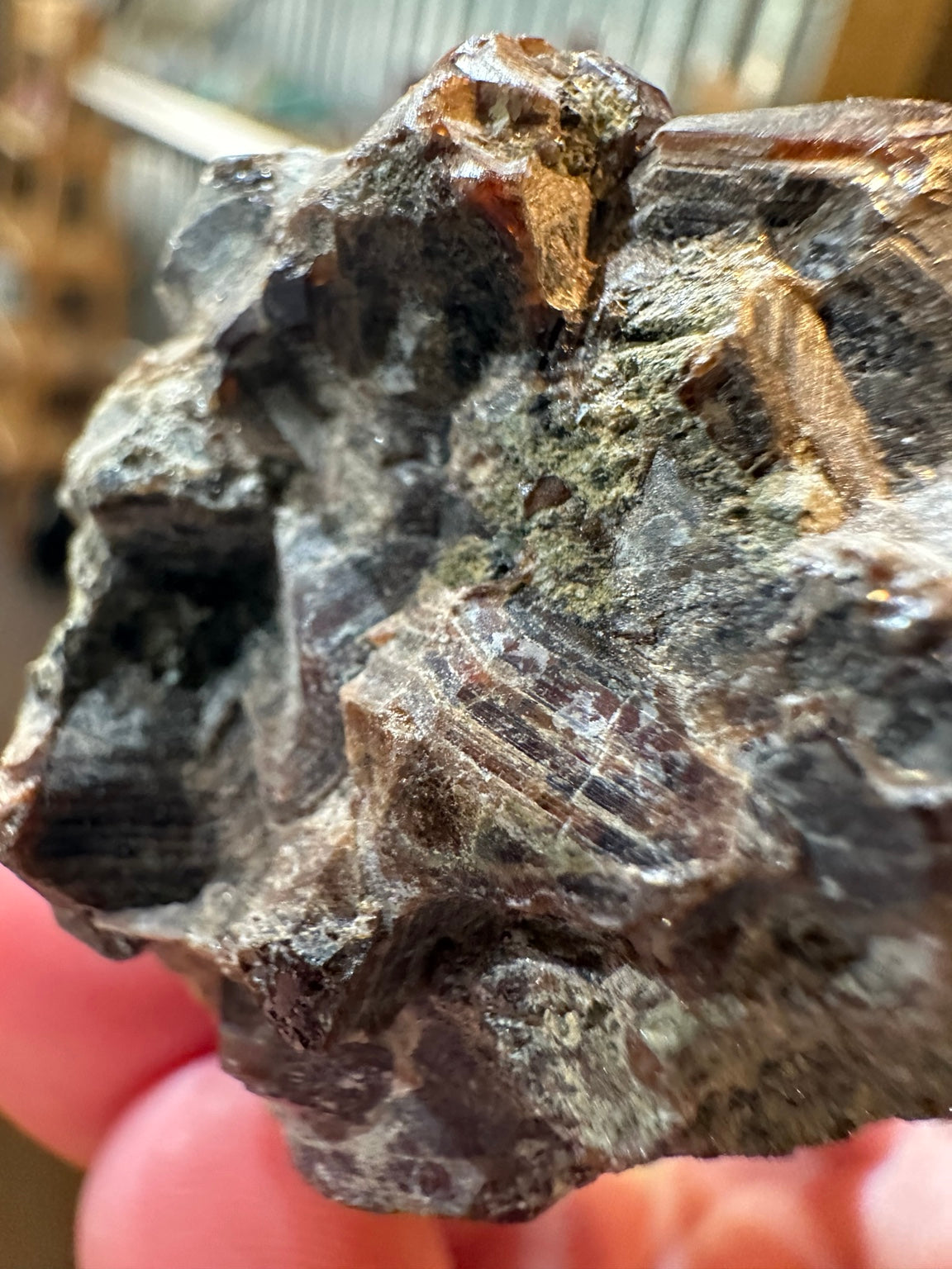 Almandine garnet in natural host matrix, side view