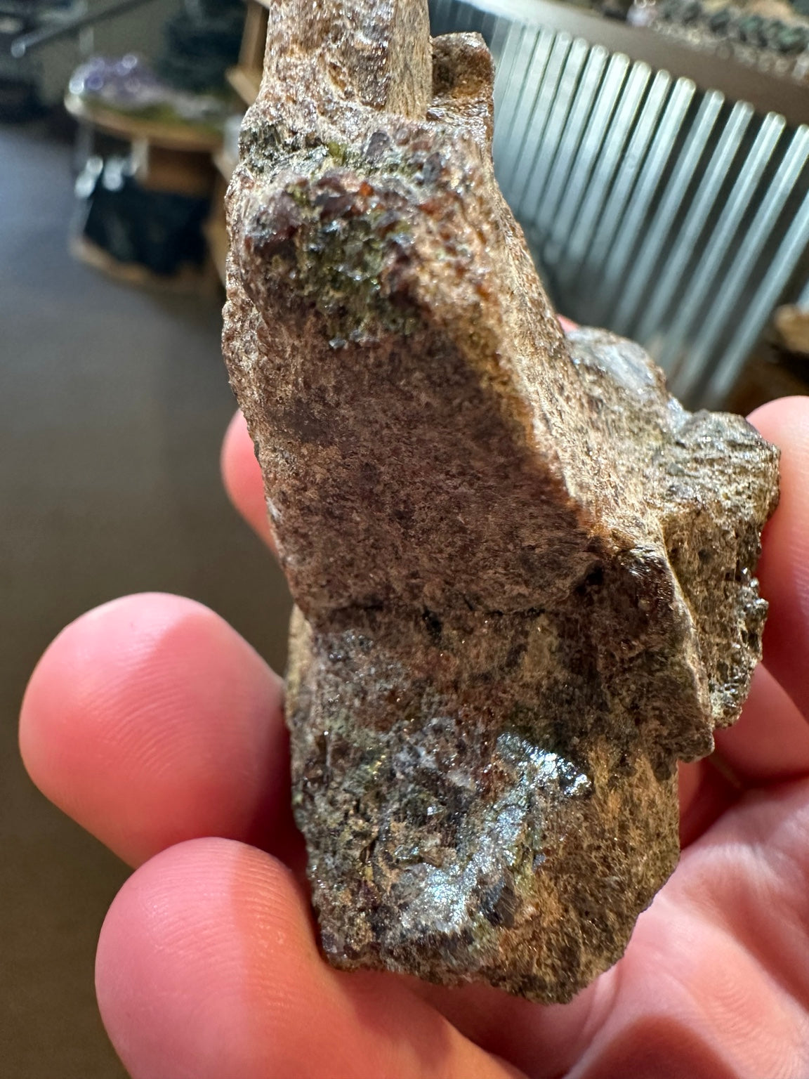 One-of-a-kind almandine garnet mineral specimen from the Ely area