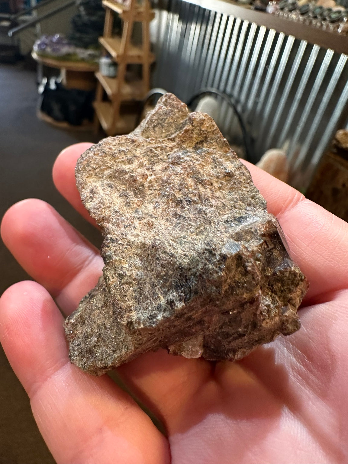 Natural unpolished garnet crystal specimen with matrix