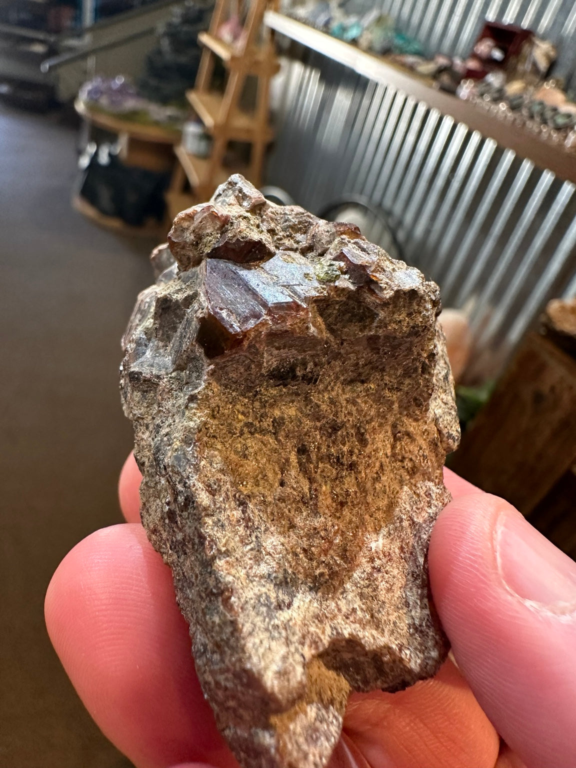 Almandine garnet in matrix, exact five ounce specimen