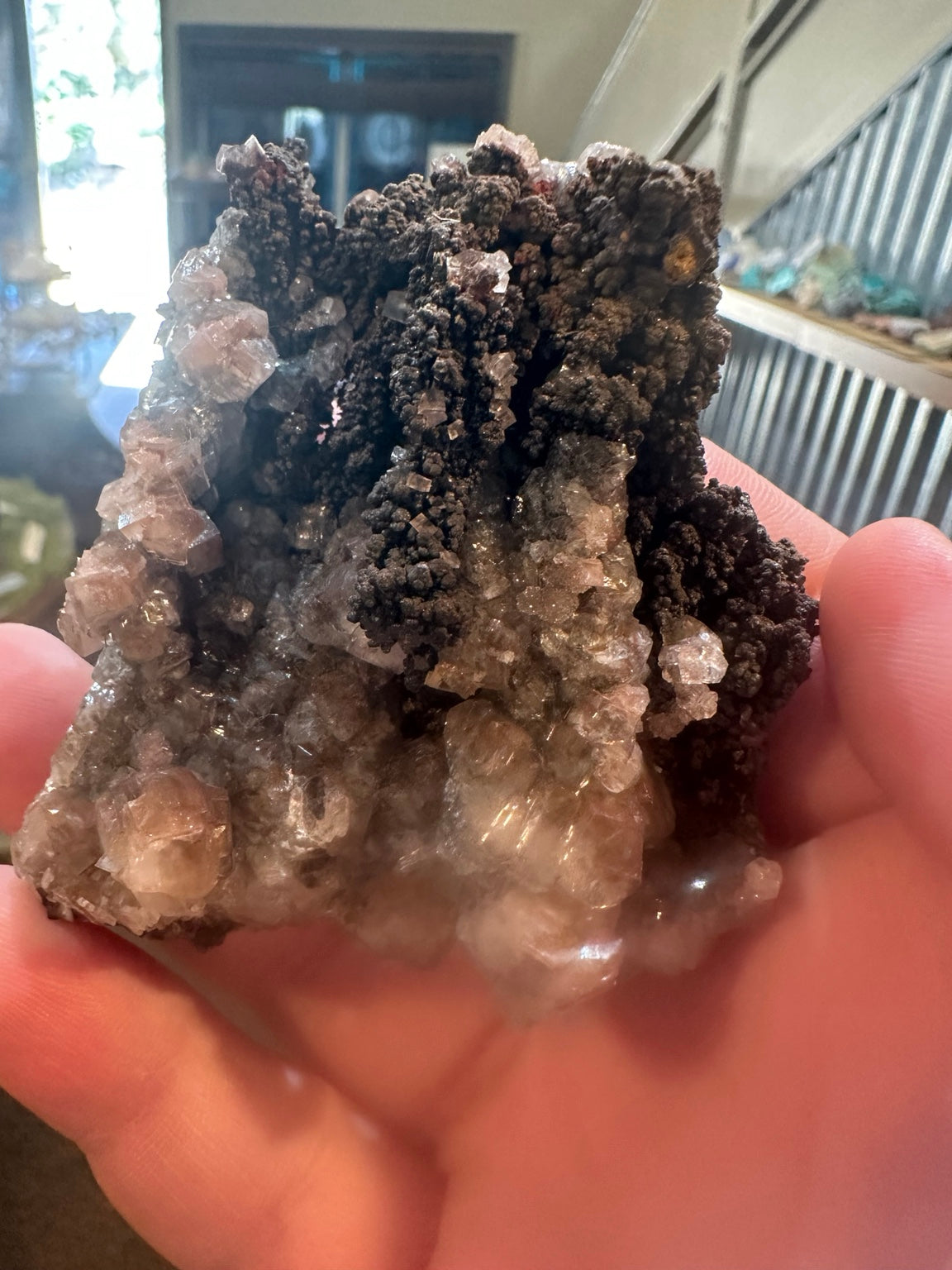 Cubic fluorite on botryoidal iron oxide from Boulder Hill Mine area, Nevada — view 1 of 5
