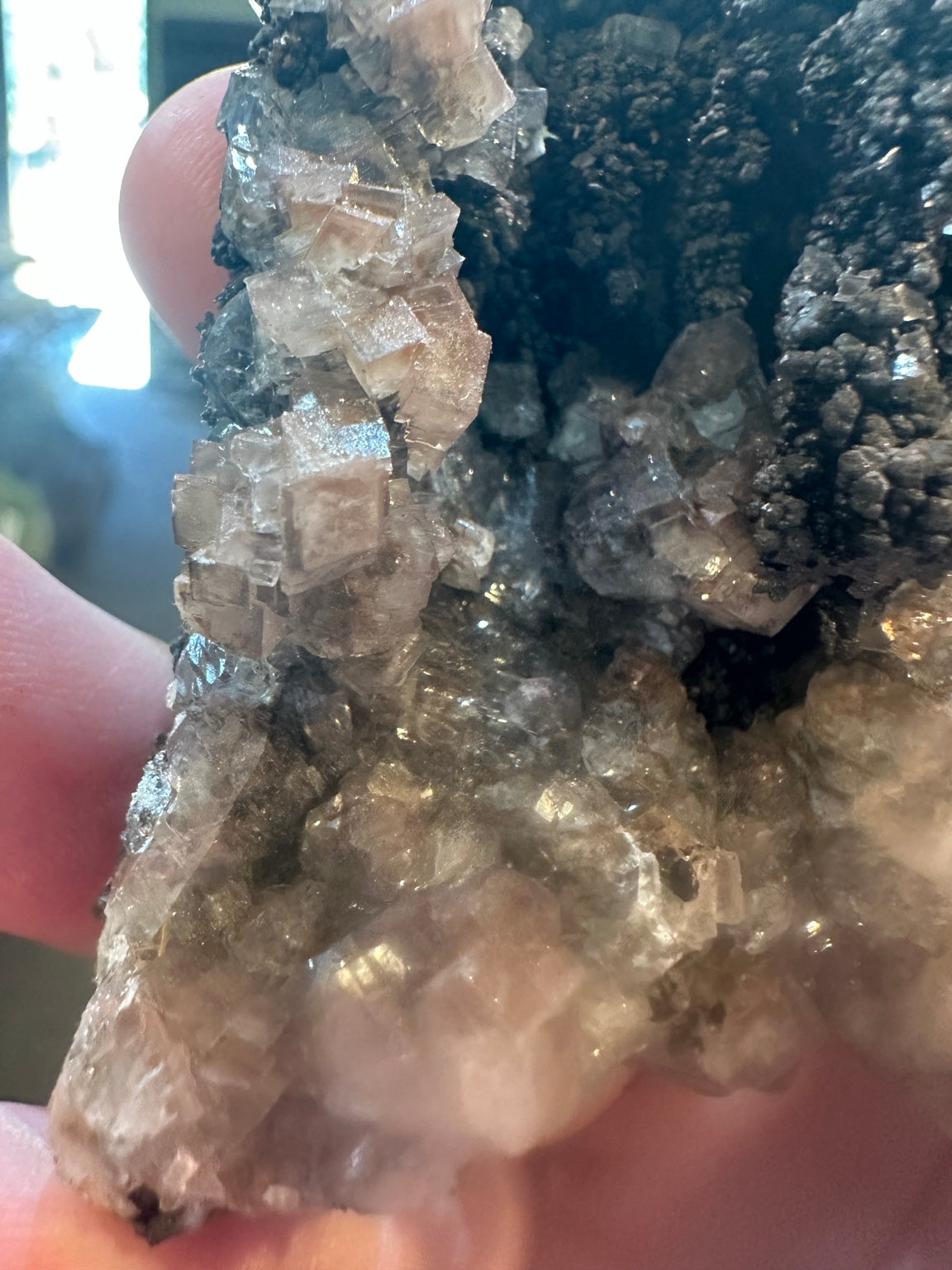 Cubic fluorite on botryoidal iron oxide from Boulder Hill Mine area, Nevada — view 2 of 5