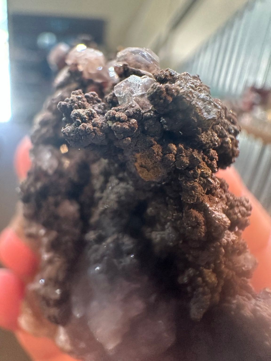 Cubic fluorite on botryoidal iron oxide from Boulder Hill Mine area, Nevada — view 4 of 5