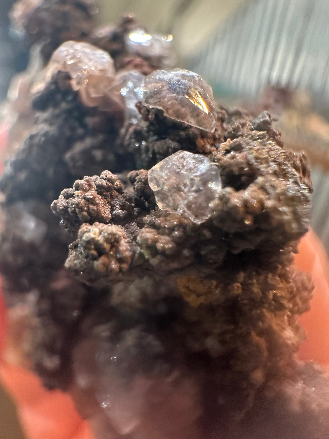 Cubic fluorite on botryoidal iron oxide from Boulder Hill Mine area, Nevada — view 5 of 5