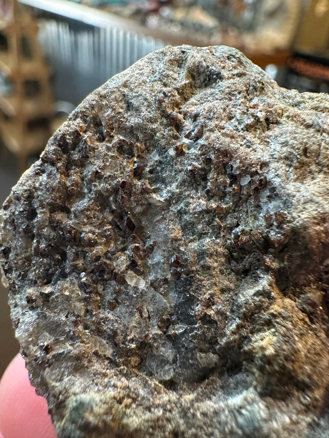 Brown garnet crystal cluster on matrix, 3.5 oz, full specimen view