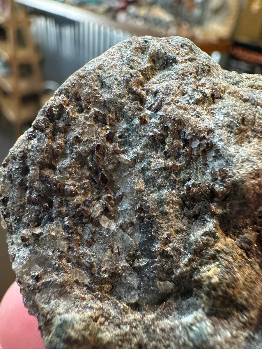 Brown garnet crystal cluster on matrix, 3.5 oz, full specimen view