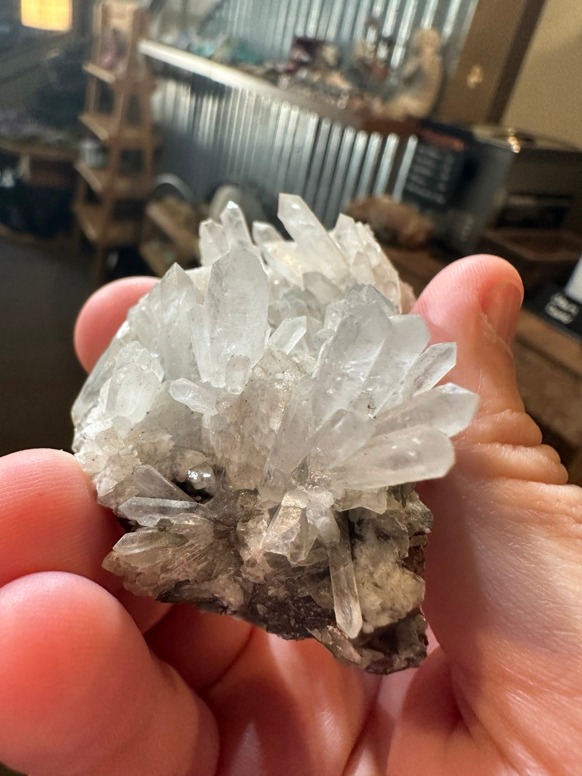 Colorado quartz crystal spray with multiple terminated points