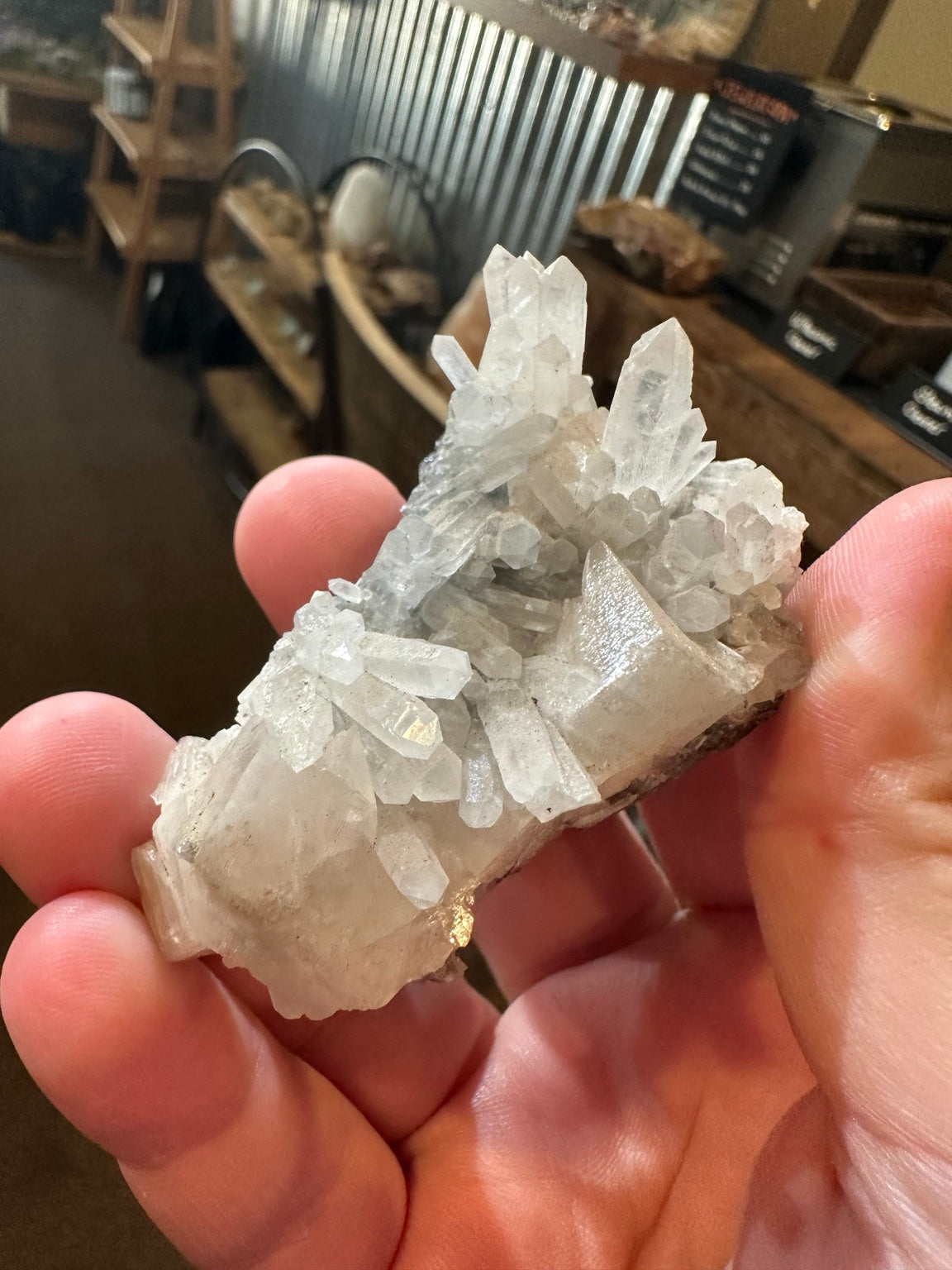 Natural quartz crystal cluster on matrix, side view