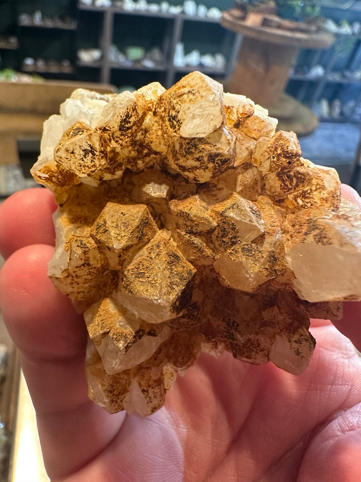 Comstock Lode quartz crystal cluster from Virginia City Nevada, 5.1 oz, reverse view